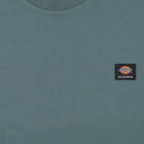 Футболка мужская Dickies Skateboarding Mount Vista Shirt артикул:WSSK6 - купить в магазине Дайс