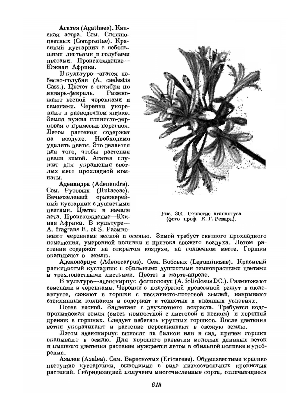 Цветоводство. Часть 2 | Г.Е. Киселев