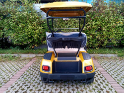 Гольфкар EWAY HM2