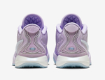 Где купить Nike LeBron 21 Easter