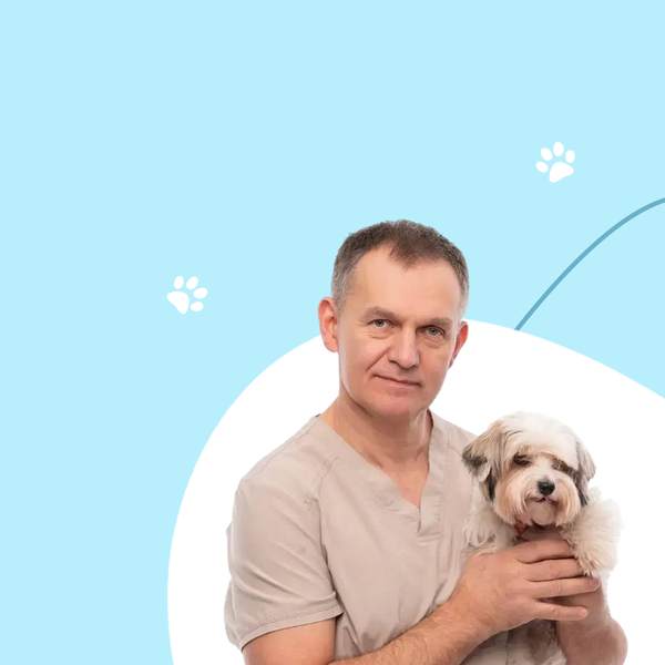 Мастер-класс для хирургов «Хирургия уха»