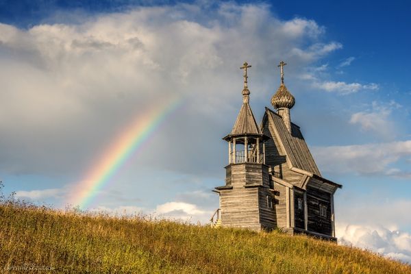 Дарим бесплатную доставку при заказе от 8000 руб.