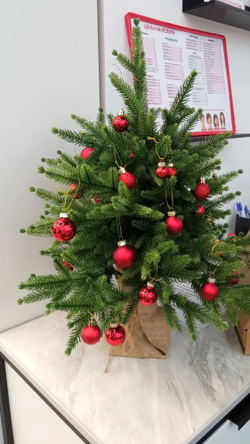 Ель искусственная Инфинити 60 см