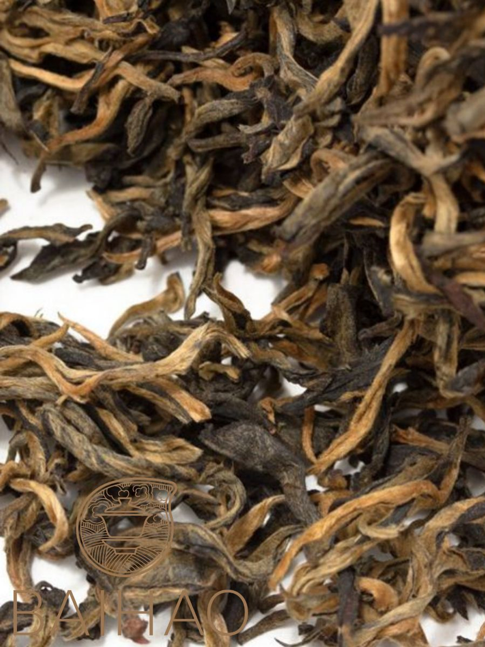 Цзинь Я Тоу Чунь, 1-й сбор, весна 2025 г.