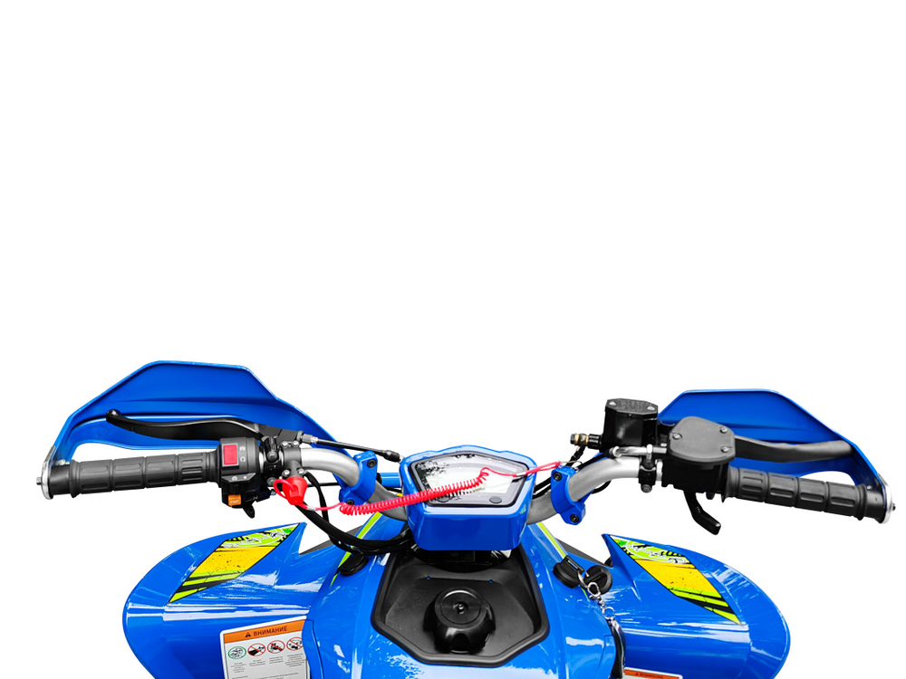 Квадроцикл YACOTA TYPHOON 250