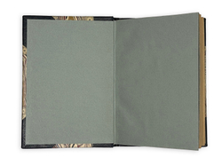 Фишер Ф.Ф. Лечение магическими, оккультическими и симпатическими средствами (с рецептами) / [Соч.]