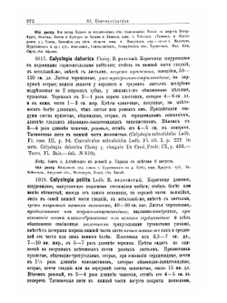 Флора Алтая и Томской губернии. Том 4. Polemonиaceae-Plantagиneae | П. Н. Крылов
