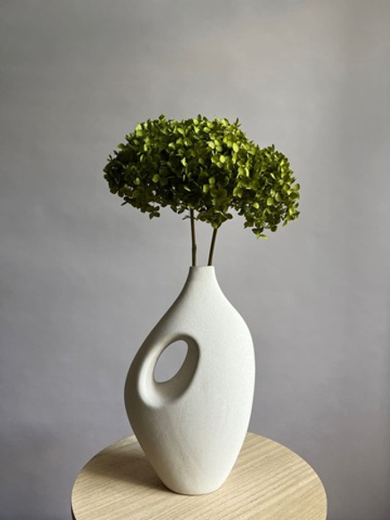 Гортензия стабилизированная травяная