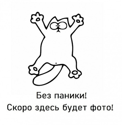 Дверь-купе ARISTO О, зеркало, профиль шампань матовая