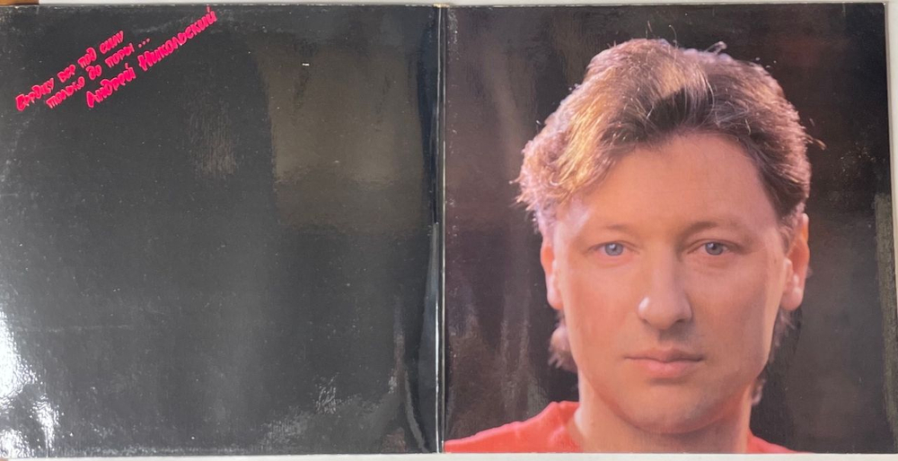 Винтажная виниловая пластинка LP Андрей Никольский, Хулиган С Покровки (Россия 1993)