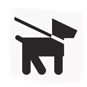Площадки для выгула и дрессировки собак