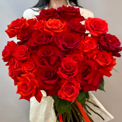 «Пламя и бархат» монобукет из 25 французских роз Нина и Эксплорер