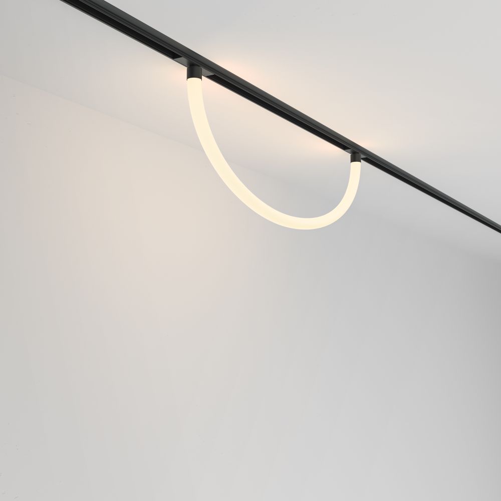 Трековый магнитный светодиодный светильник Maytoni   TR101-2-20W3K-B