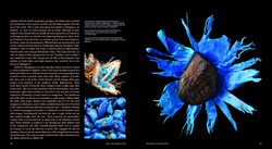 Seeds: Time Capsules of Life