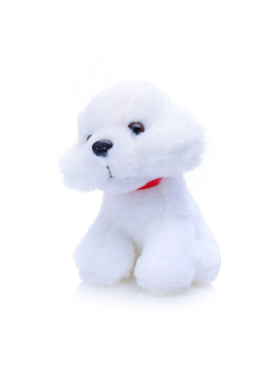 Игровой набор Питомец в переноске (699-36A)