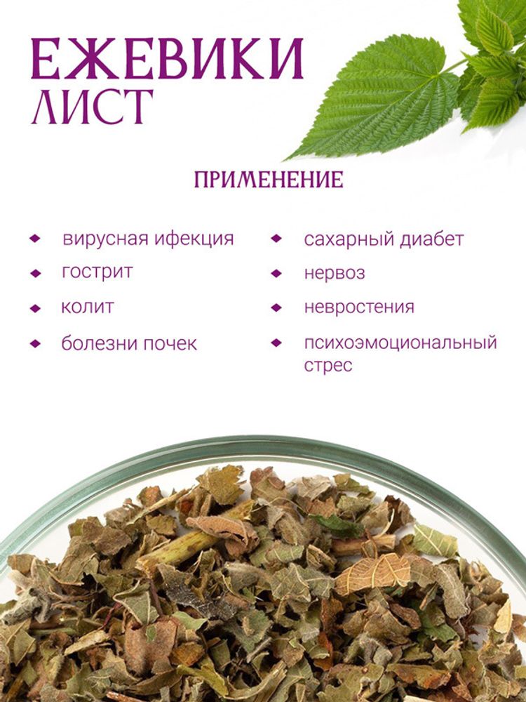 Ежевика лист
