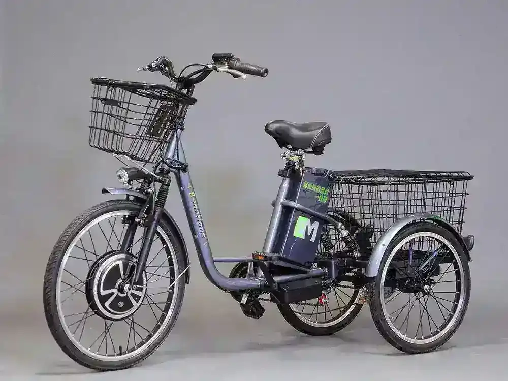 Трехколесный электровелосипед E-motions KANGOO-RU 700