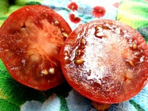 Помидоры Brandywine Black — Чёрный Бренди