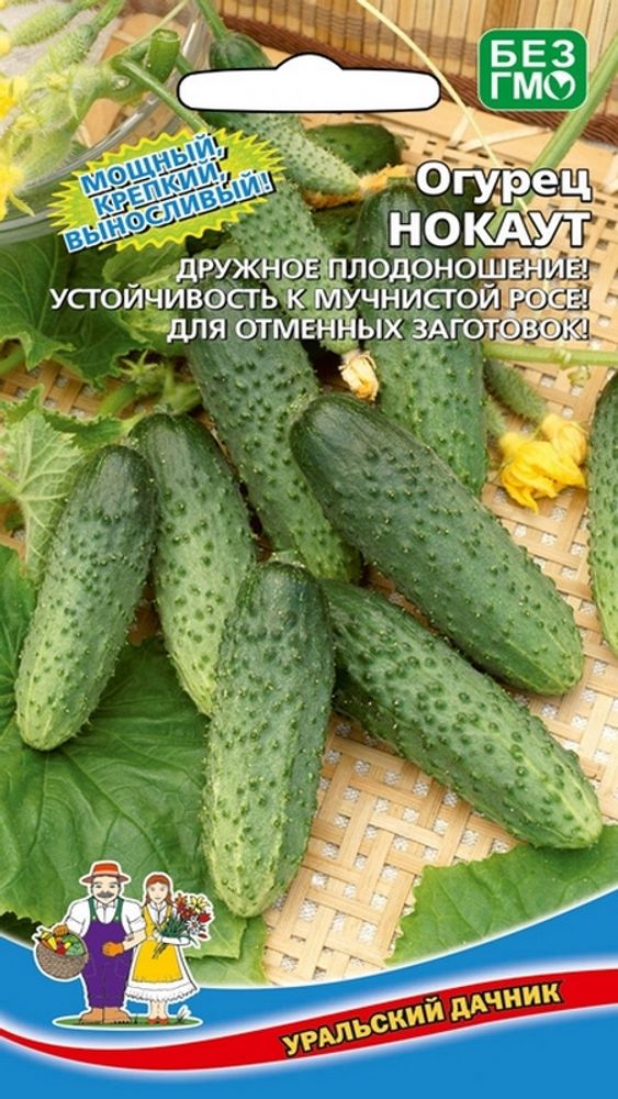 Огурец &quot;G. Нокаут&quot; 12шт., Россия.
