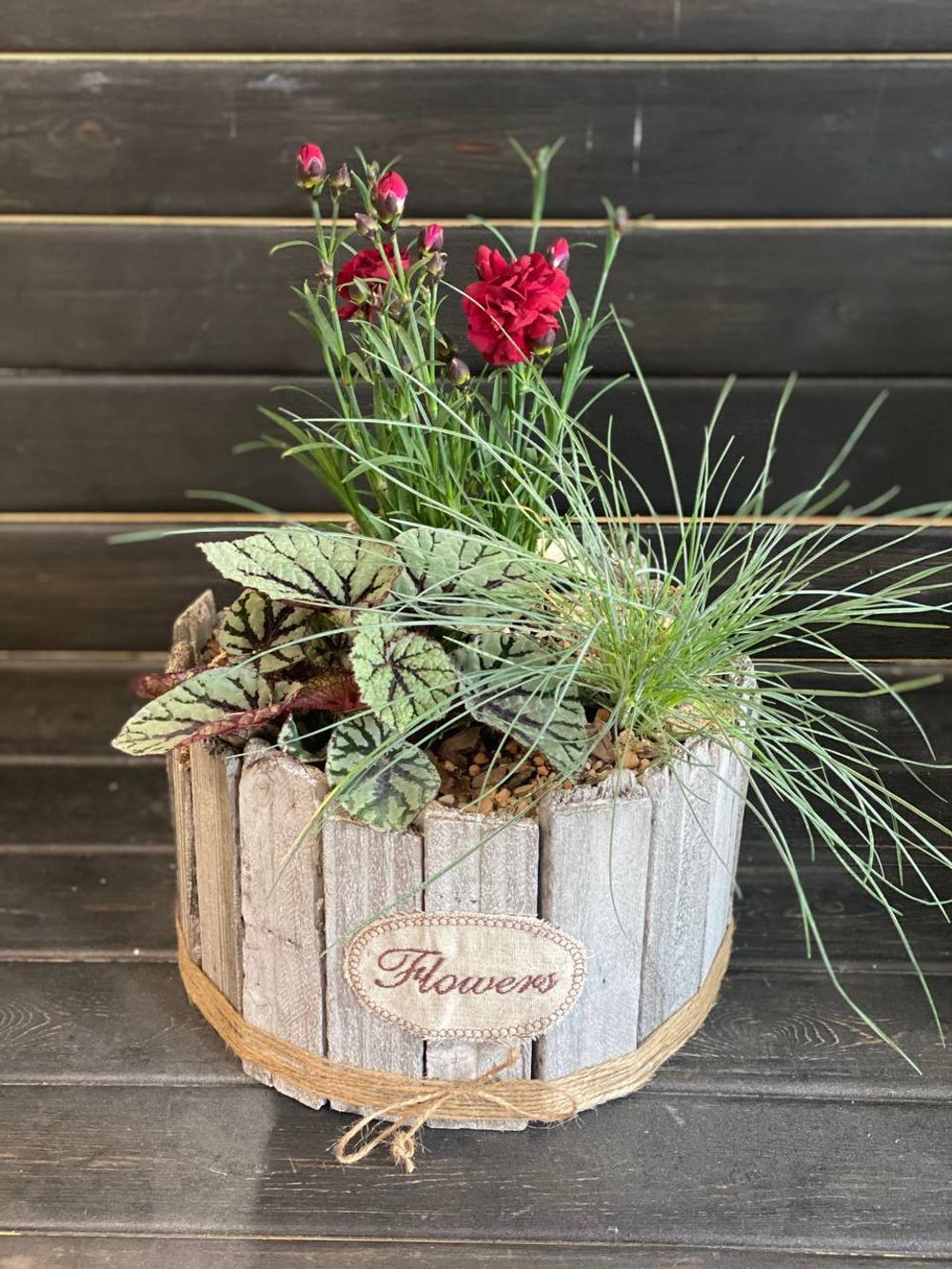 Сад комнатный (минисад)