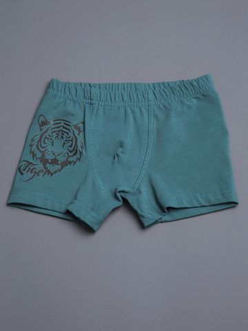 034_НБЛ25 Боксеры (трусы) д/м, т.хаки