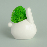 Набор для выращивания eco "Зайчик"