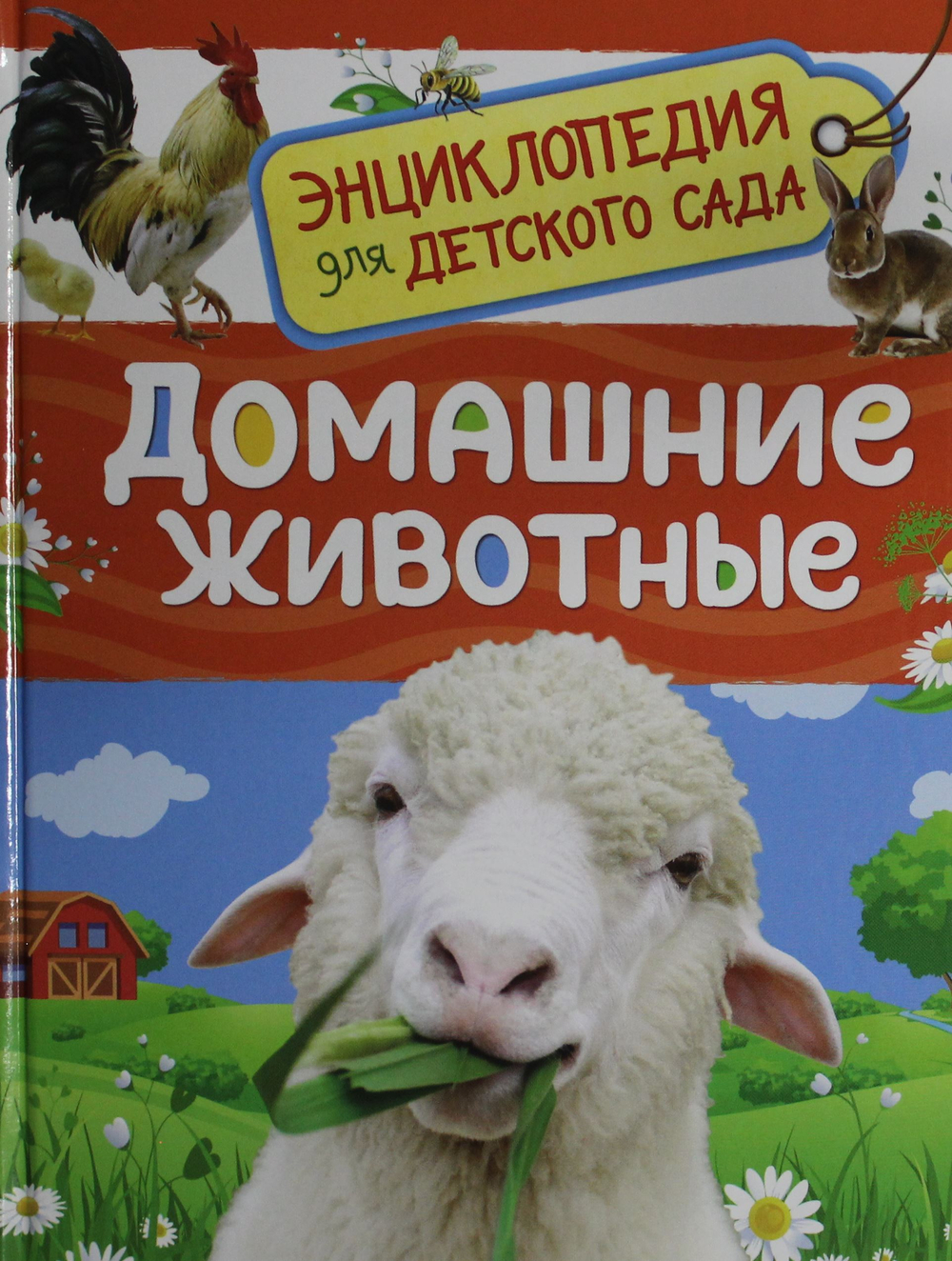 Домашние животные (Энциклопедия для детского сада)