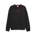 Мужской свитшот PUMA F1 Sportswear Crew