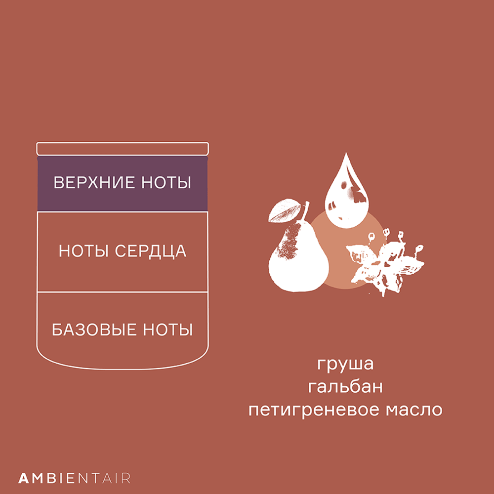 Свеча ароматическая Ambientair Enchanted Forest Гранат