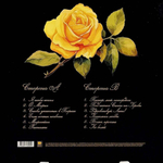 Musica Di Strada / Избранное (LP)