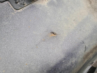 Бампер задний Hyundai Solaris 2 (2020-2022)