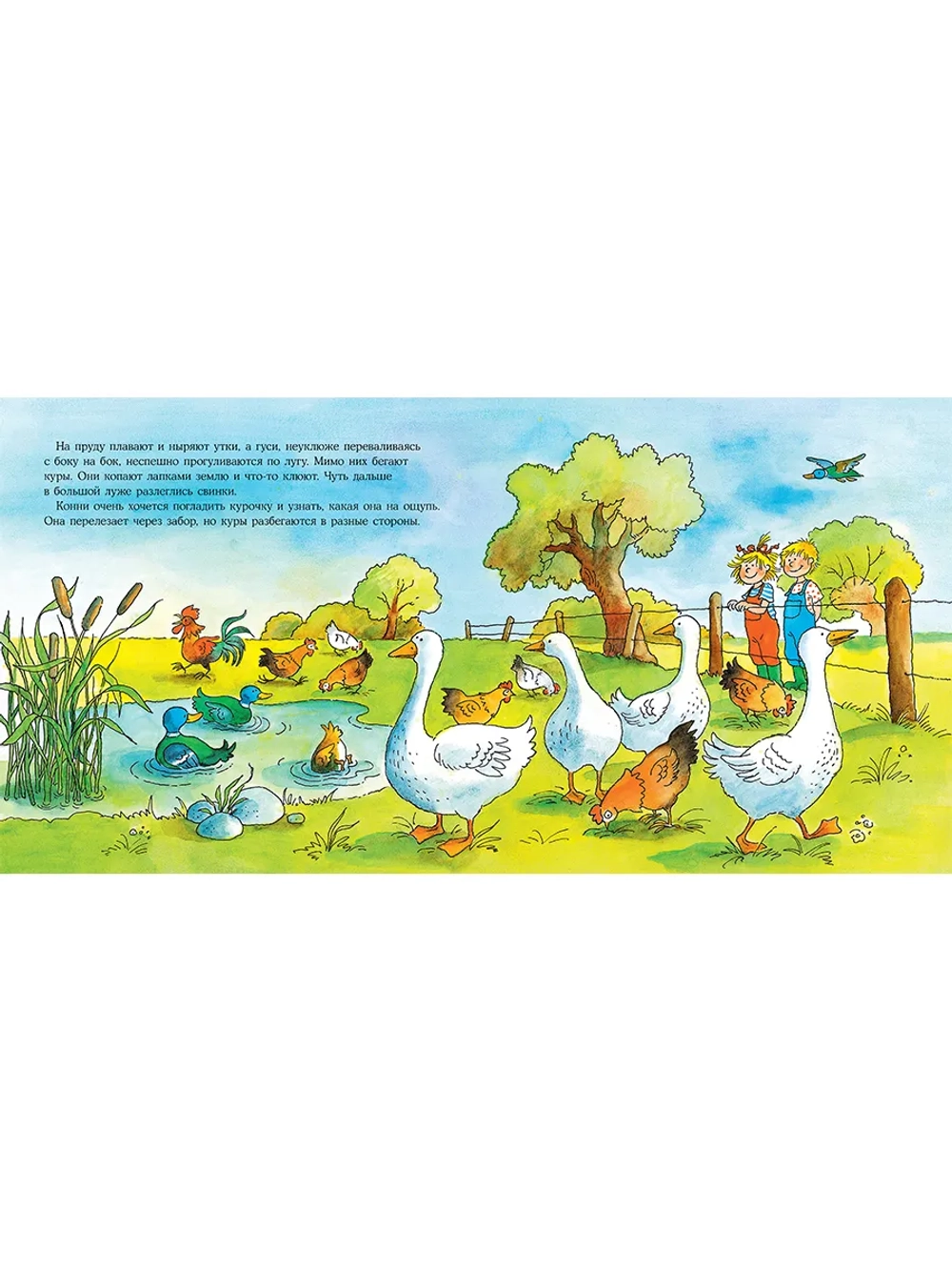 Большая книга приключений Конни. Животные