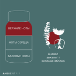 Диффузор ароматический gifting, Корица и яблоко, 100 мл