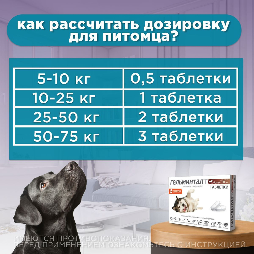 Таблетки от гельминтов, профилактика дирофиляриоза для собак более10кг Гельминтал (Neoterica), 2 таб. Моксидектин/Празиквантел