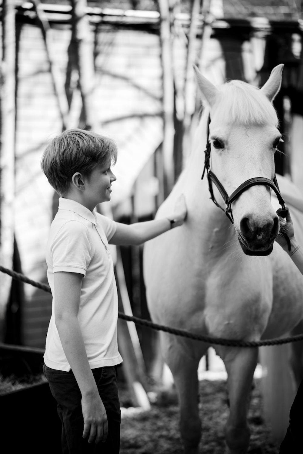 Horse Party