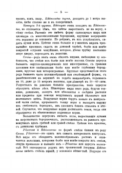 Кактусы. Содержих в комнатах. С тремя таблизображений кактусов | Ляпунов Н.Н.