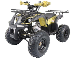 Квадроцикл ATV Termit TT Cross