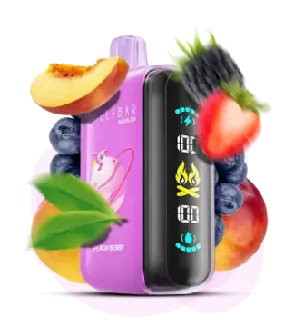 ELF BAR RAYA D3 - Peach Berry (5% nic)