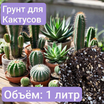 Авторский грунт для Какутусов 2 литра