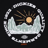  Футболка мужская Dickies Outdoor артикул:DK0A4Z8PBLK1 - купить в магазине Дайс