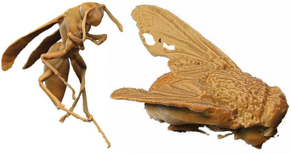 3D сканер VT Power V5