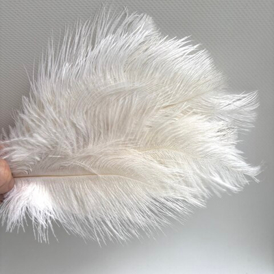 Перья страуса натуральные 15 - 20 см. 2 сорт