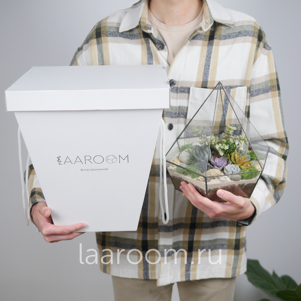 Флорариум с суккулентами Алмаз Laaroom