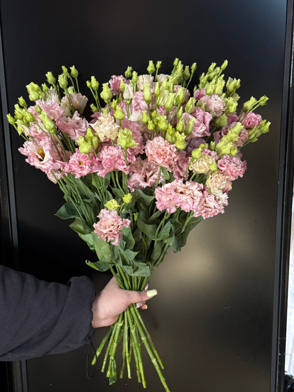 Эустома розовая