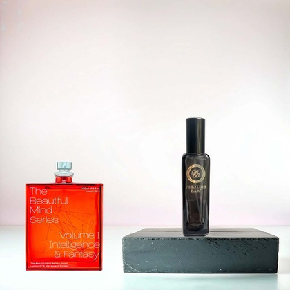 №407 The Beautiful Mind Series - Volume I Intelligence & Fantasy (по мотивам)