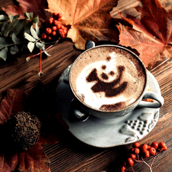 Блюдо глубокое 32см Casafina by Costa Nova ma243-crm(ma321-00201i)