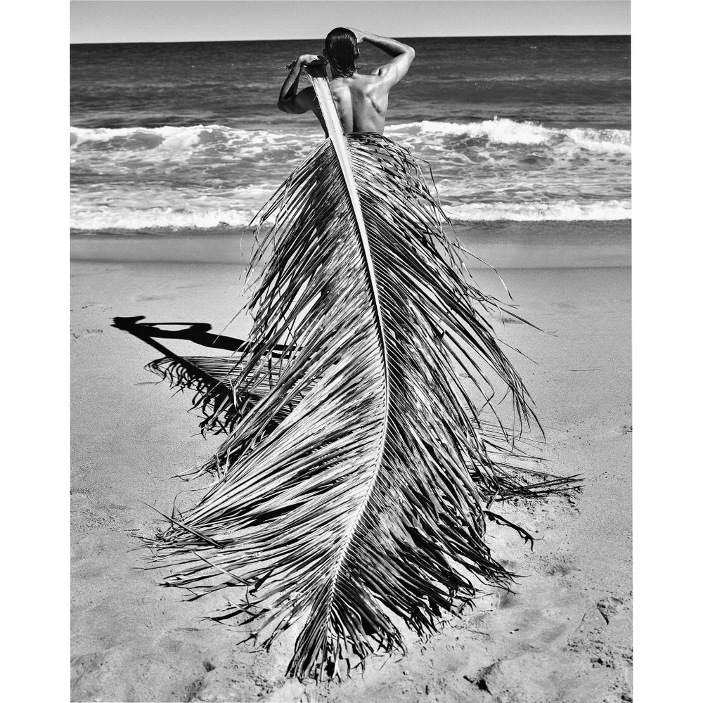 Постер Print Philippe Vogelenzang - Salvador арт.117305