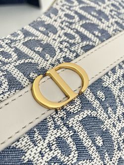 Christian Dior Miss Caro Mini Bag 24 cm