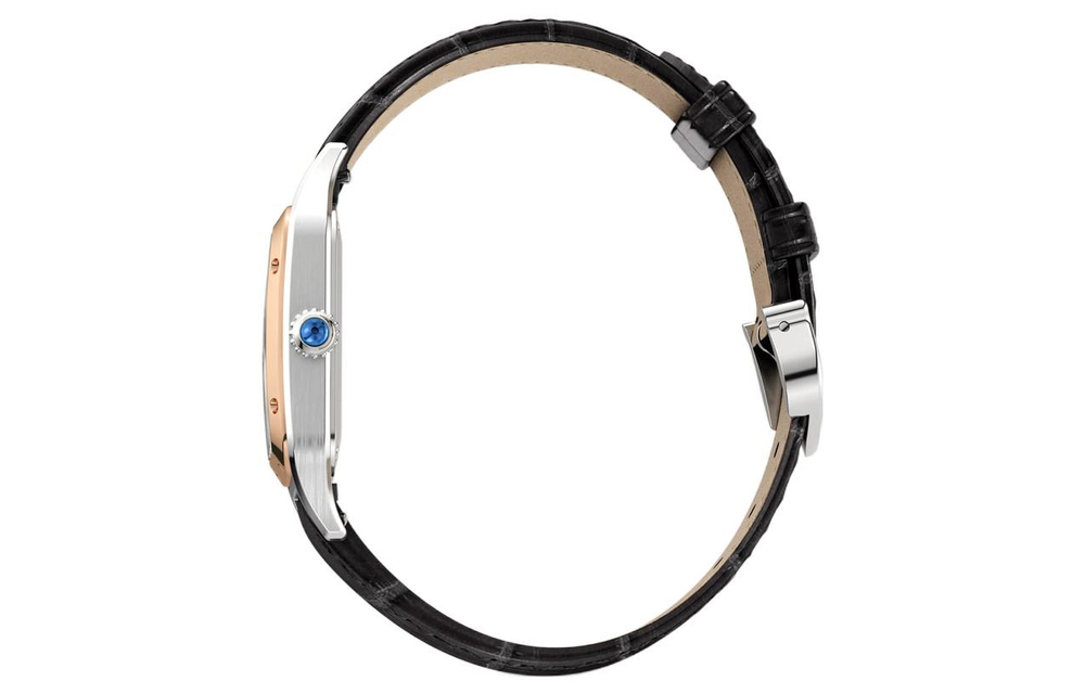 Cartier Santos Dumont 4.47335E+16