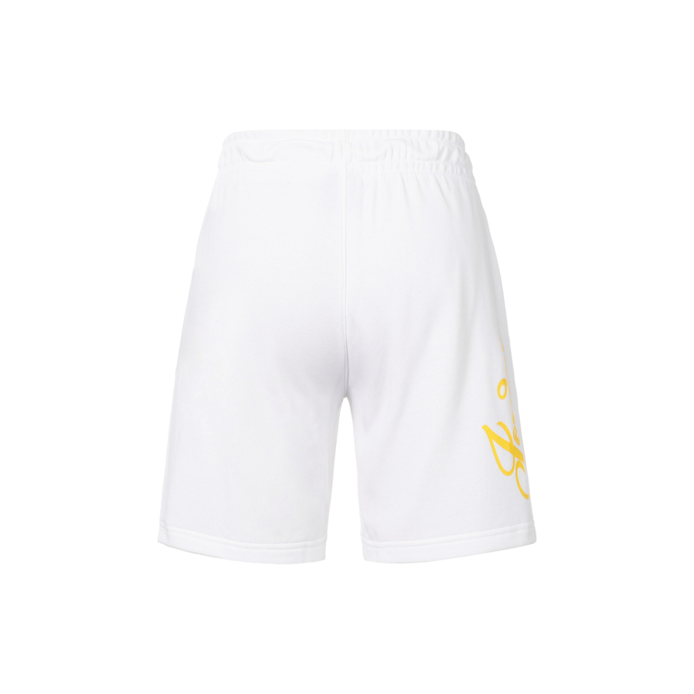 Шорты Jordan Logo, DZ3388-100